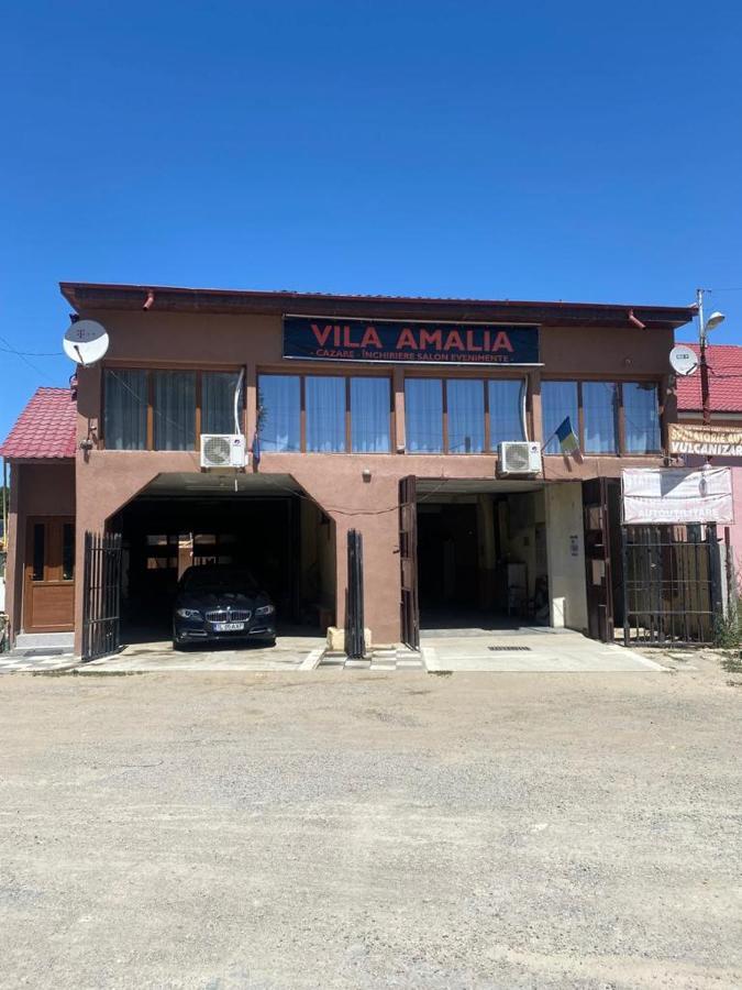 Vila Amalia Muntii Macinului Esterno foto